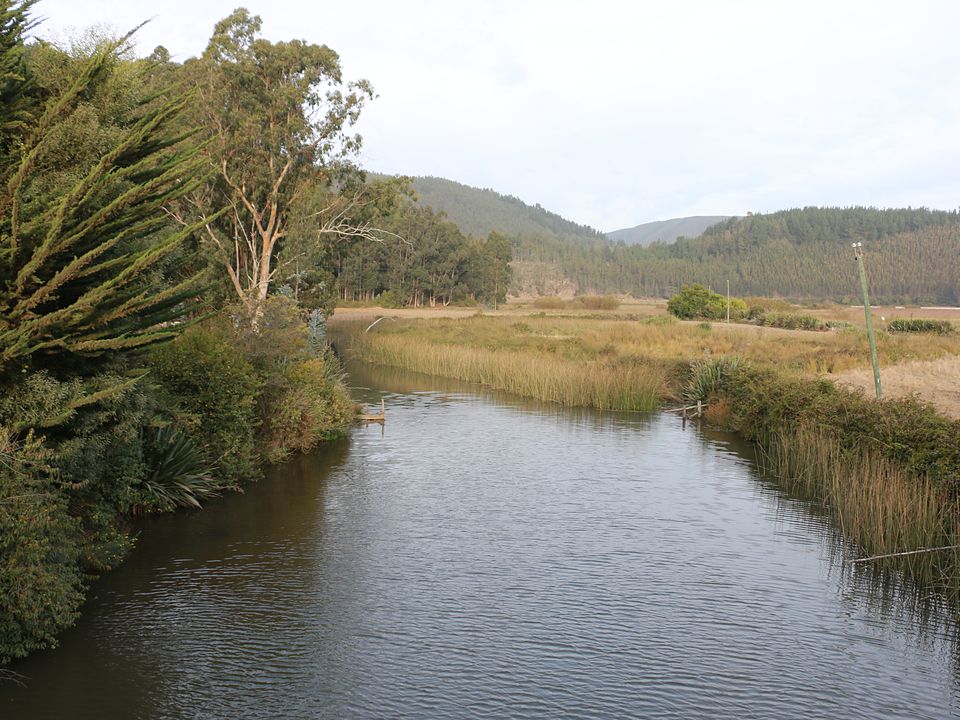 Humedal de Colmuyao, a 15 minutos del loteo El Roble en Cobquecura